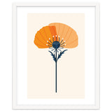 Orange Half Poppy thumbnail