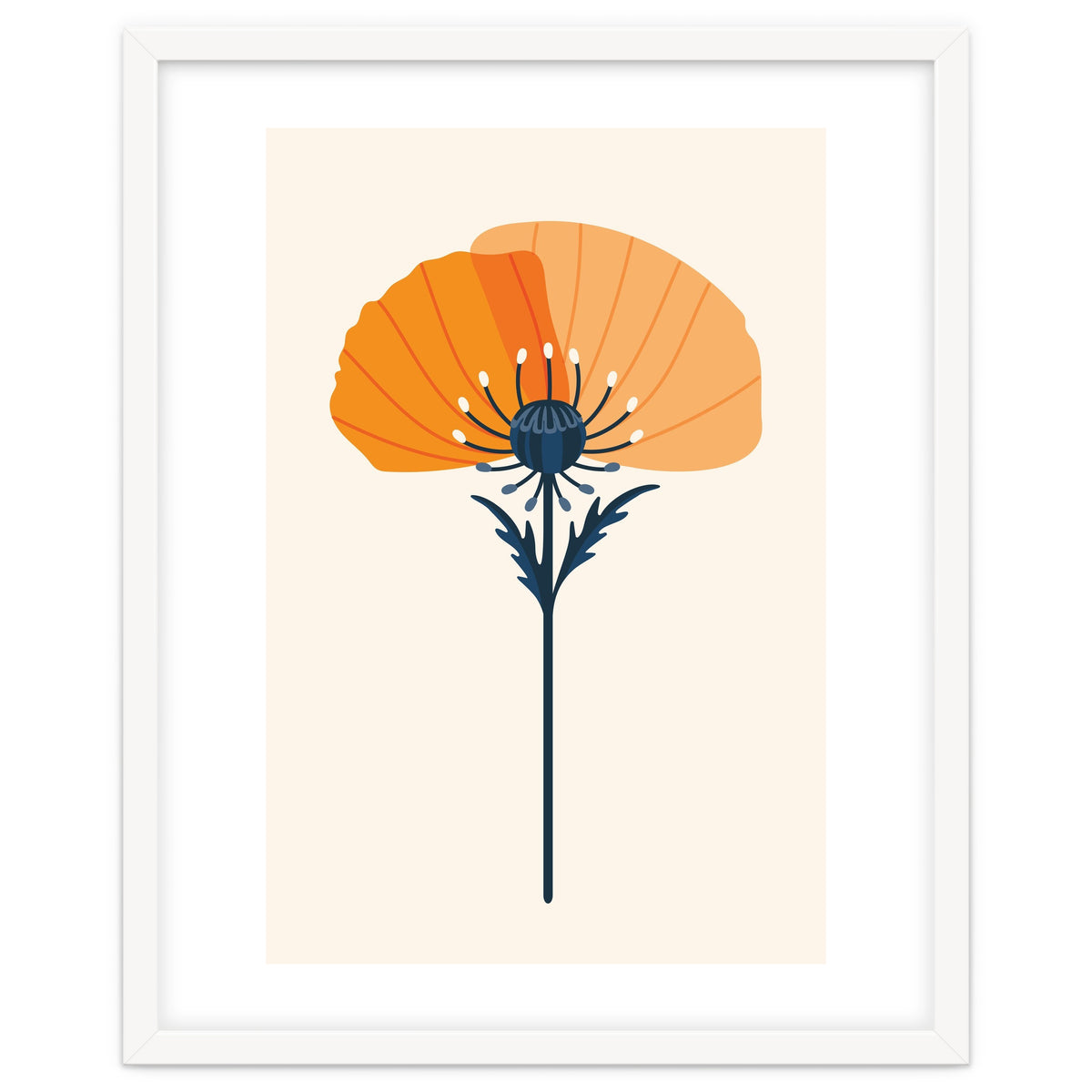 Orange Half Poppy