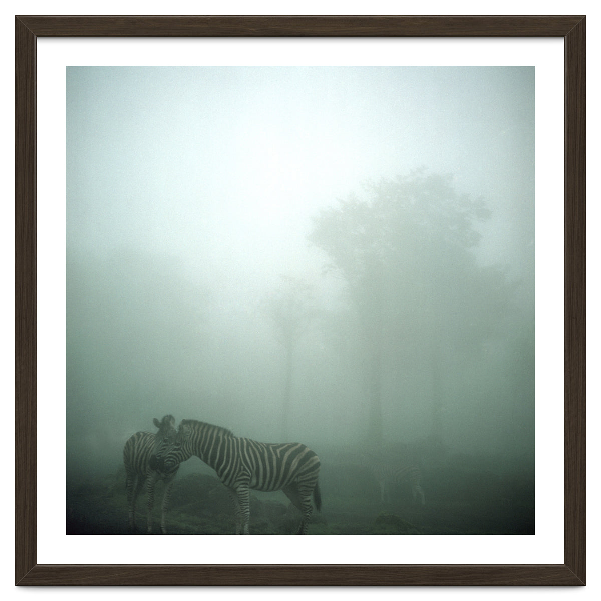 Silence of breath - 15