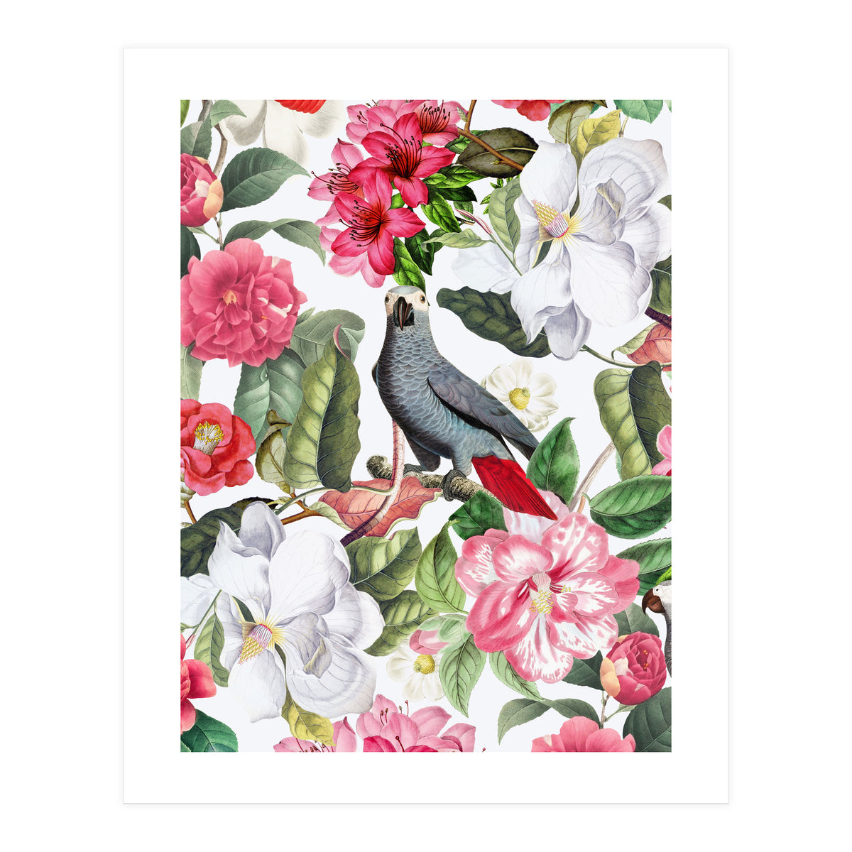 Vintage Cockatoo in Flower Jungle (Print Only)