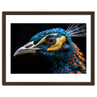 Close Up Of A Peacock Bird Head Eye
