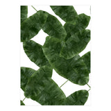 Banana Leaves V2 (Print Only) thumbnail