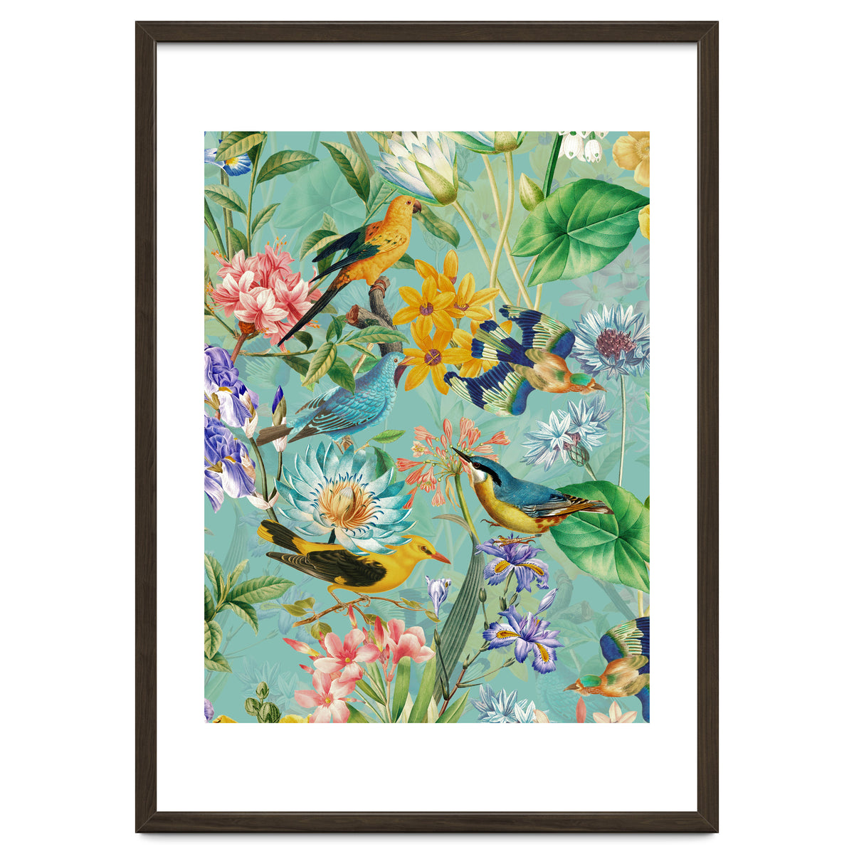 Birds In Tropical Jungle