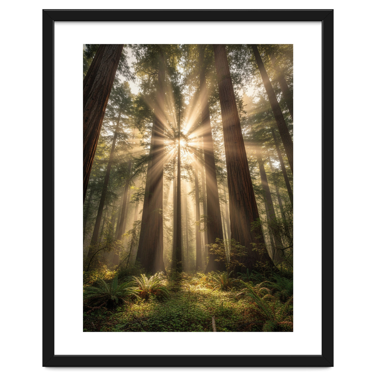 Ethereal Redwood Sanctuary: Sunbeams in the Ancient Forest