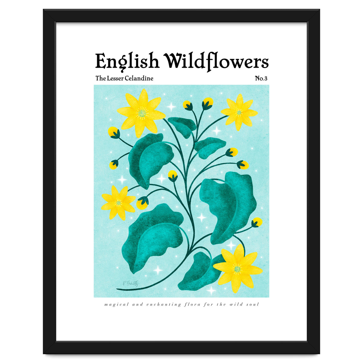 English Wildflowers | Lesser Celandine
