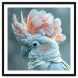 Close Up Of A White Cockatoo With Pink Crest thumbnail