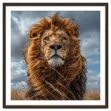 Majestic Lion Portrait Windblown Mane Outdoors thumbnail
