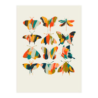 Colorful Butterflies (Print Only)