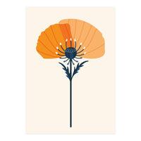 Orange Half Poppy (Print Only)