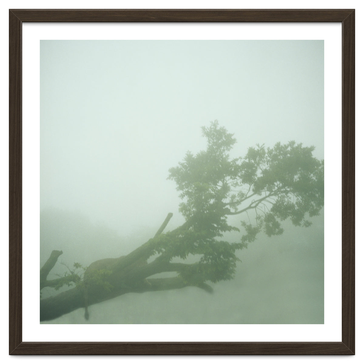 Silence of breath - 07