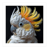 White Cockatoo With Yellow Crest Portrait (Print Only)