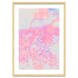 Chamomile thumbnail