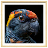 Close Up Of A Colorful Parrot Bird's Head thumbnail