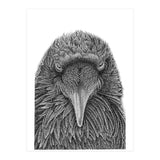 Muninn (Print Only) thumbnail