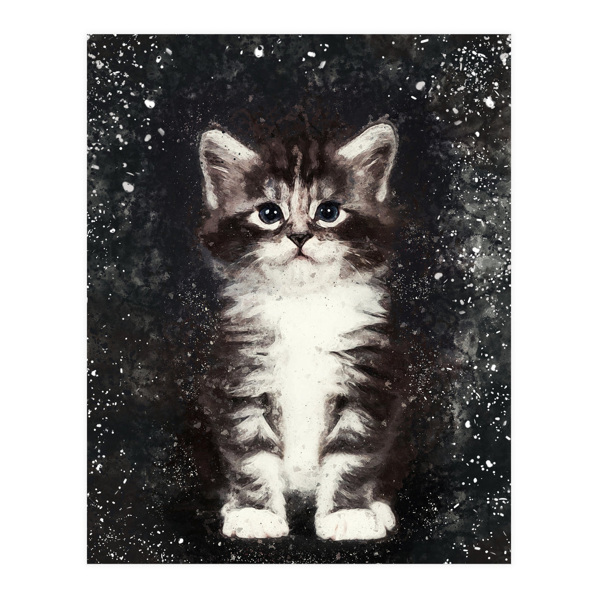 Bicolor Cute Kitten Portrait (Print Only)