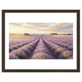 Provençal Sunset: Lavender Field Landscape thumbnail