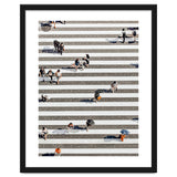 Rain Crossing | Polka Dots Zebra Crossing On The Street | Rain Eclectic Modern Graphic Design thumbnail