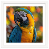 Blue And Gold Macaw Parrot Close Up Portrait thumbnail