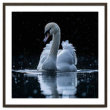 Majestic Swan Swimming In Dark Water thumbnail