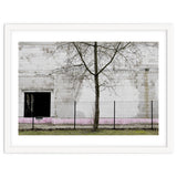 A tree in front of the wall thumbnail
