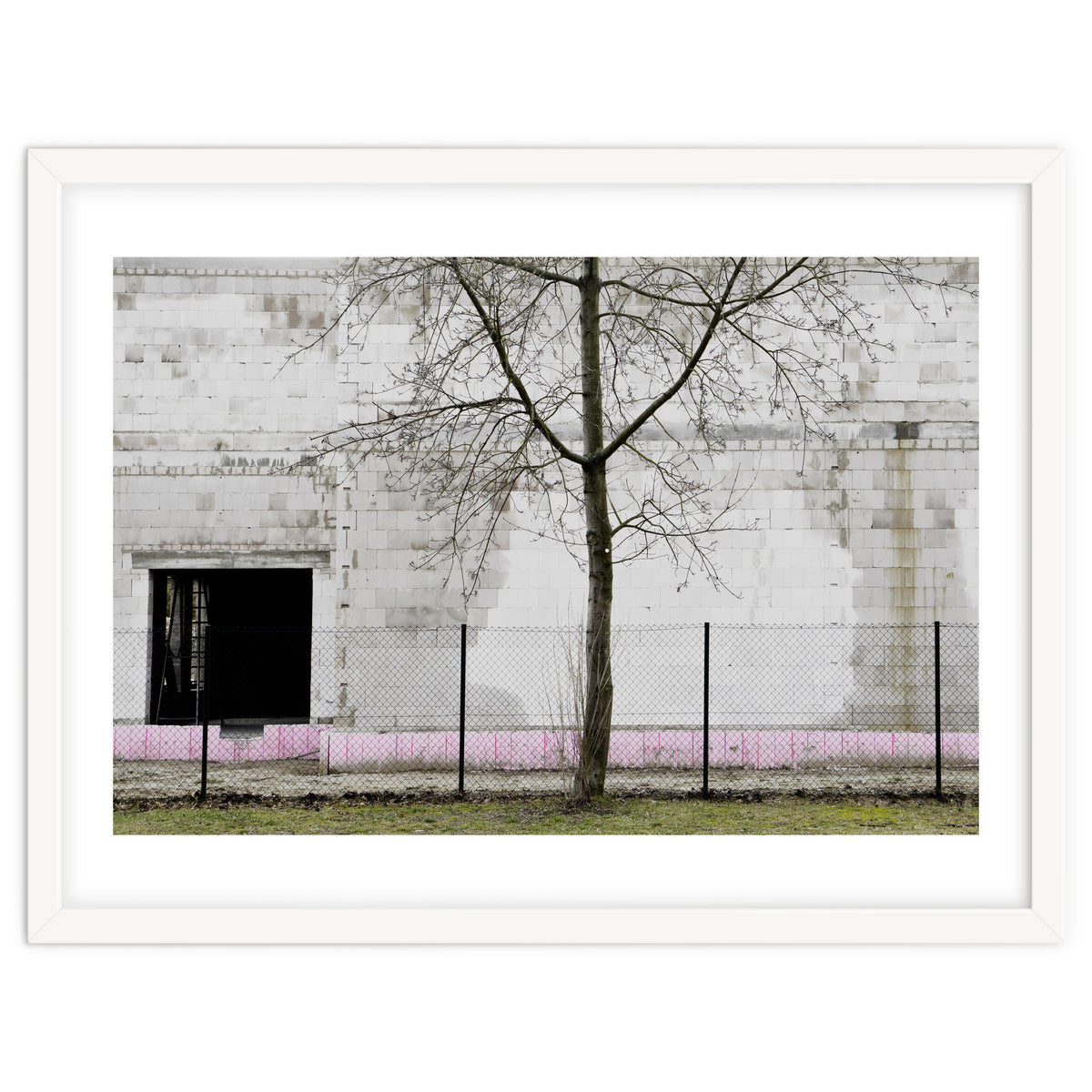 A tree in front of the wall