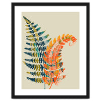 Colorful Fern Leaves