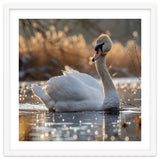 Majestic Swan On Calm Water During Sunset Nature Scene thumbnail