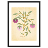 Vintage Fruits thumbnail