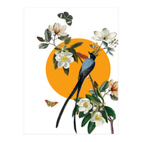 collage floral birds (Print Only)