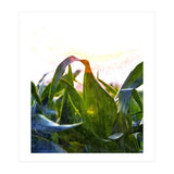 Hope With Abstraction (Print Only) thumbnail