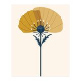 Ochre Half Poppy (Print Only) thumbnail