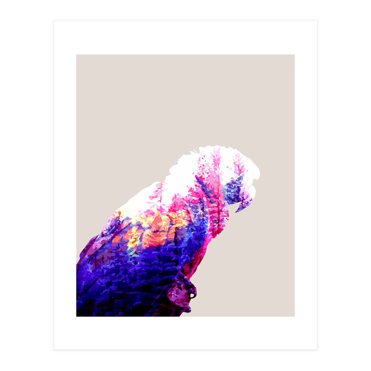Macaw (Print Only)