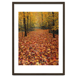 Ethereal Autumn Forest Path thumbnail