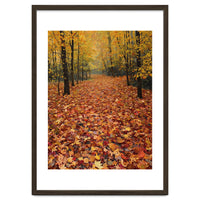 Ethereal Autumn Forest Path