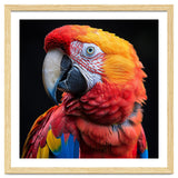 Scarlet Macaw Parrot Close Up Portrait Vivid Colors thumbnail