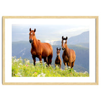 Three Horses