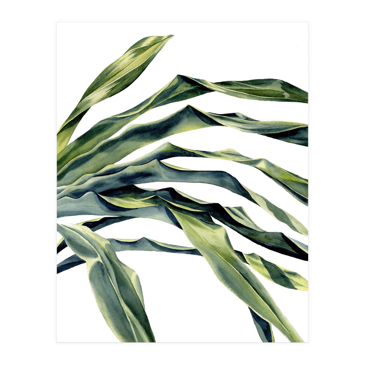 Green Palm Leaves (Print Only)