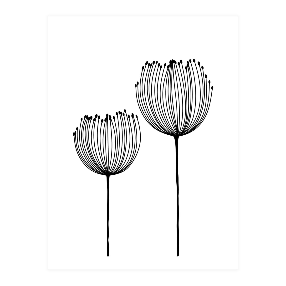 Two wildflowers (Print Only)