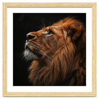 Majestic Lion Portrait Profile Majestic Beast