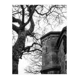 Stark Contrast (Print Only) thumbnail