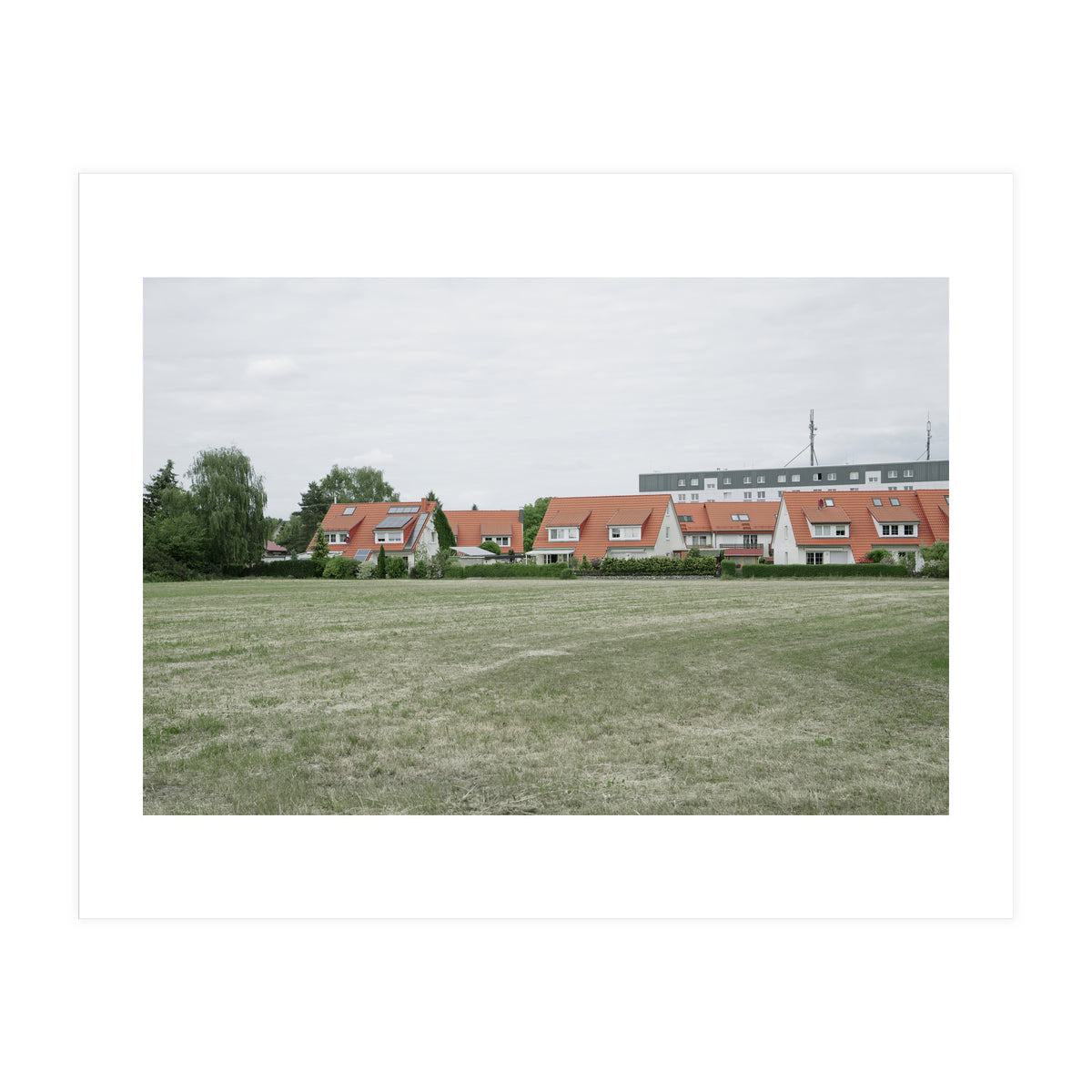 Red roof houses in the green field (Print Only)
