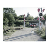 A chicken crossing a railroad (Print Only) thumbnail