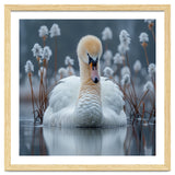 Swan Floating Serene On Calm Water thumbnail