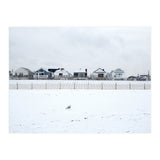 A seagull and snow covered houses (Print Only) thumbnail
