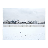 A seagull and snow covered houses (Print Only)