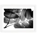 Branches and Leaves, 2016, 3 thumbnail