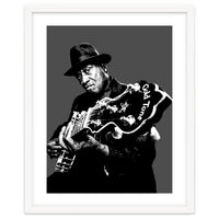 Taj Mahal American Blues Musician Legend