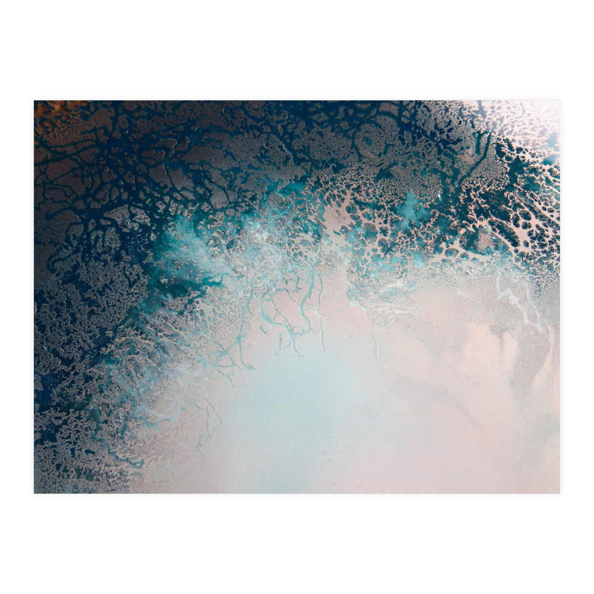 Flourish (Print Only)