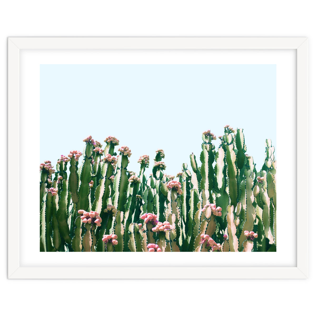 Blush Cactus #society6 #decor #buyart