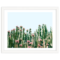 Blush Cactus #society6 #decor #buyart